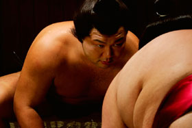 Sumo wrestlers facing off is like the competition between large companies.  It is based on strength arising from large scale operations and sheer market force.